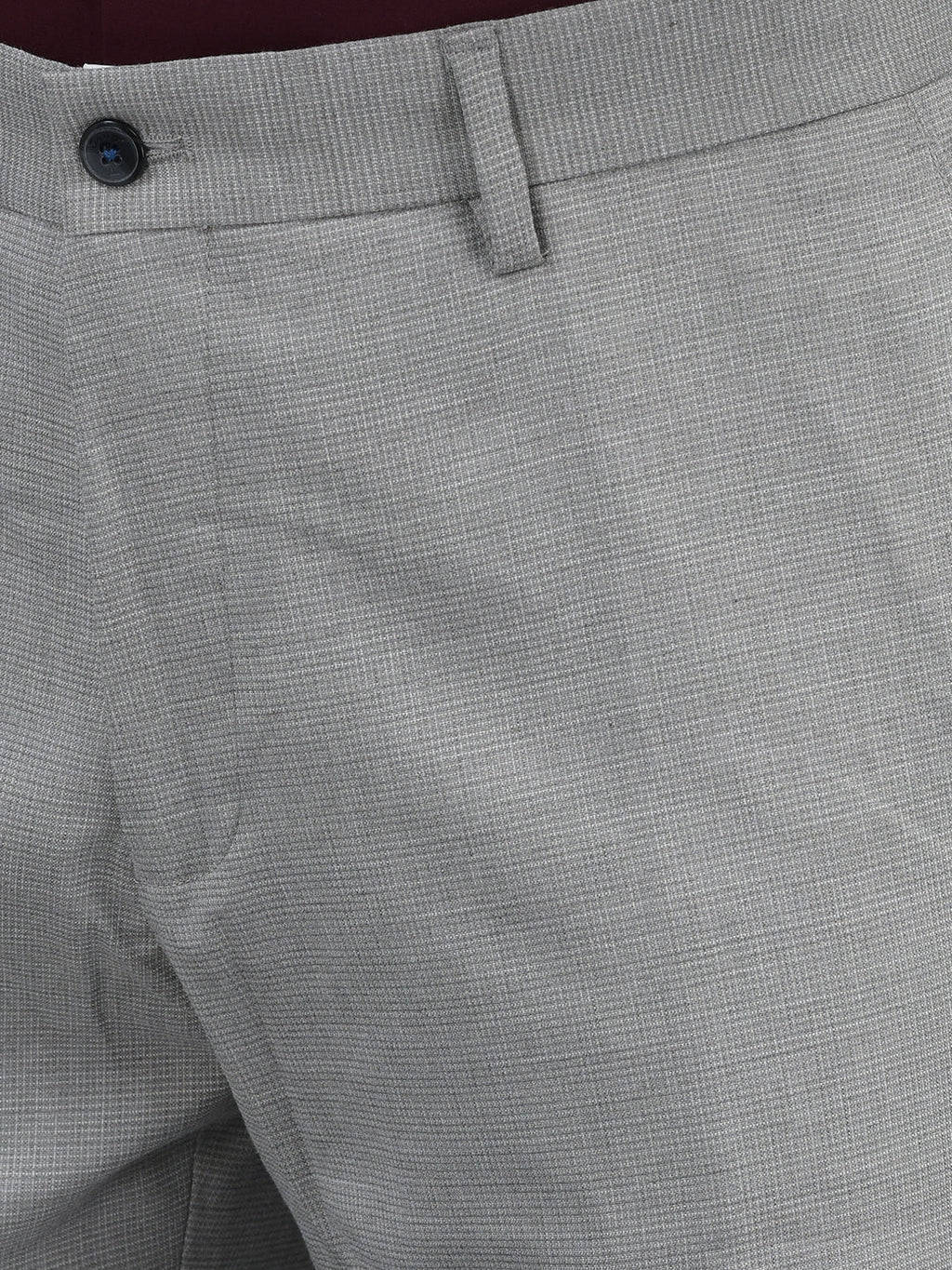 Men Regular Length Self Design Pattern Button Closure Formal Trouser