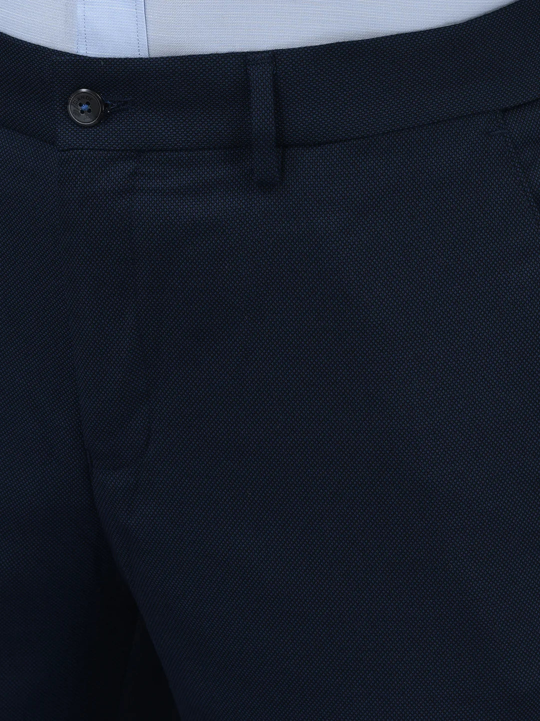 Men Regular Length Self Design Pattern Button Closure Formal Trouser